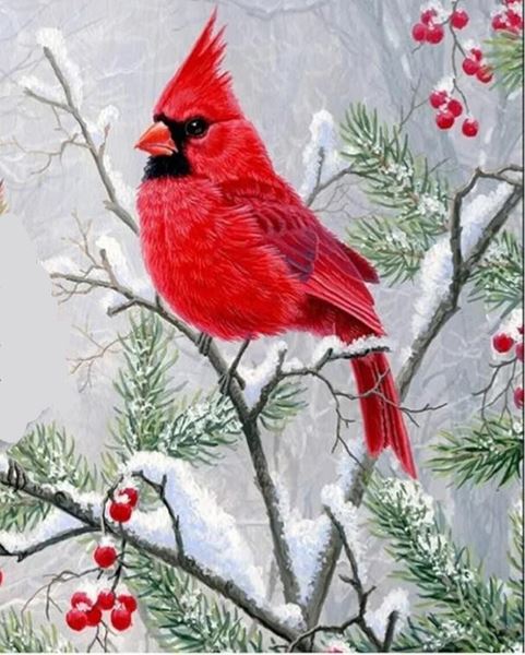 Papa Cardinal with Ruth Stewaert