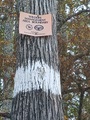 White Water Trail Marker with WMA Boundary Sign