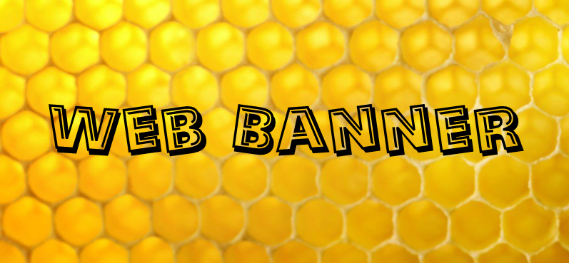 Conference - Web Banner Ad