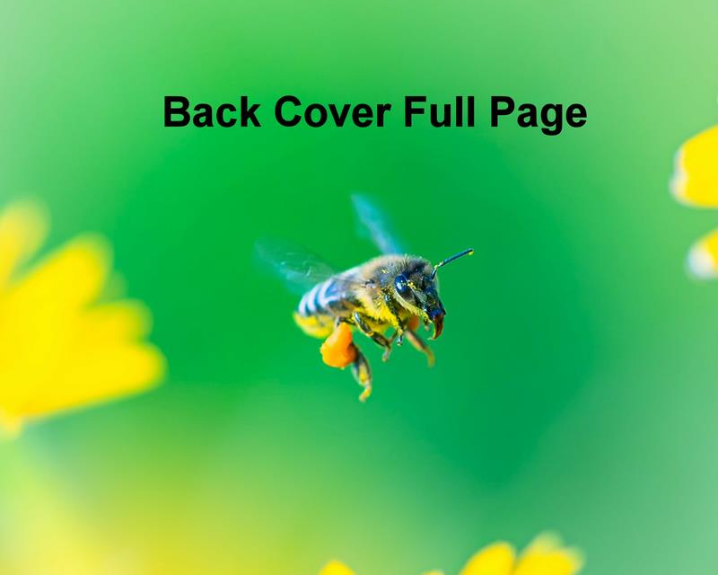 Conference Program Ad - Back Cover