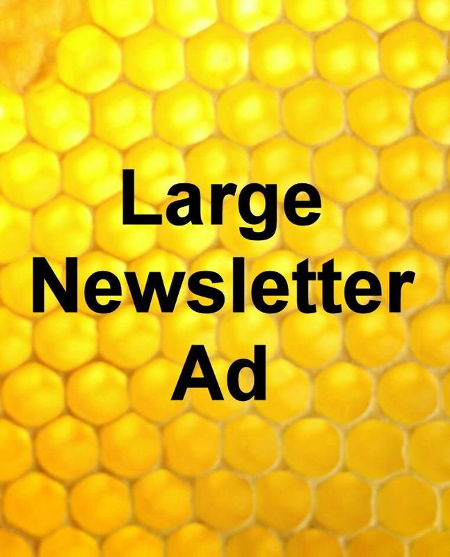Newsletter AD - Large