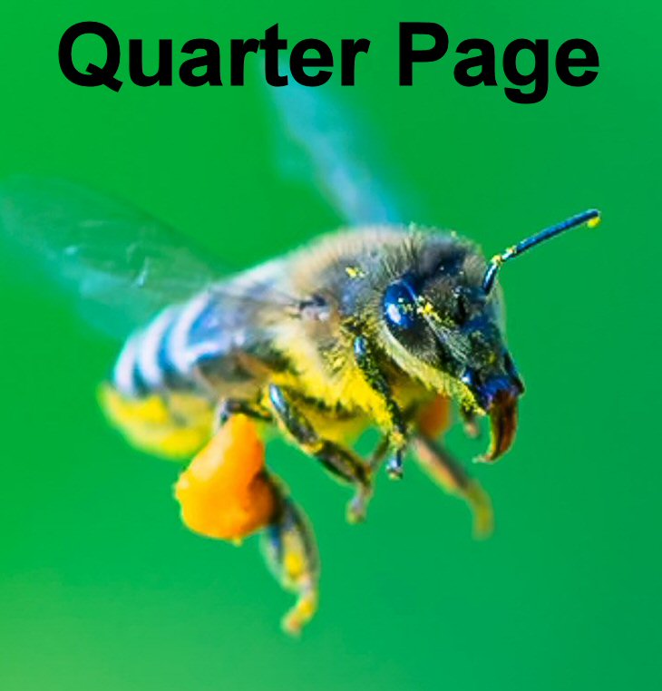 Conference Program Ad - Inside Quarter Page