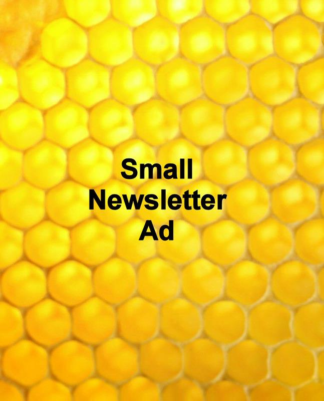 Newsletter AD - Small