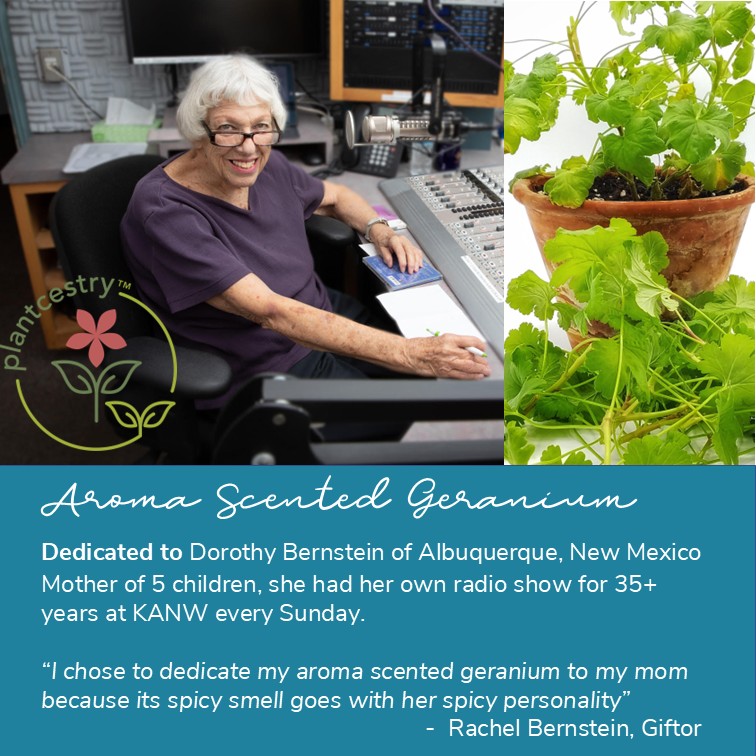 Dedication Bernstein