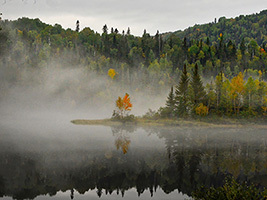 Foggy lake