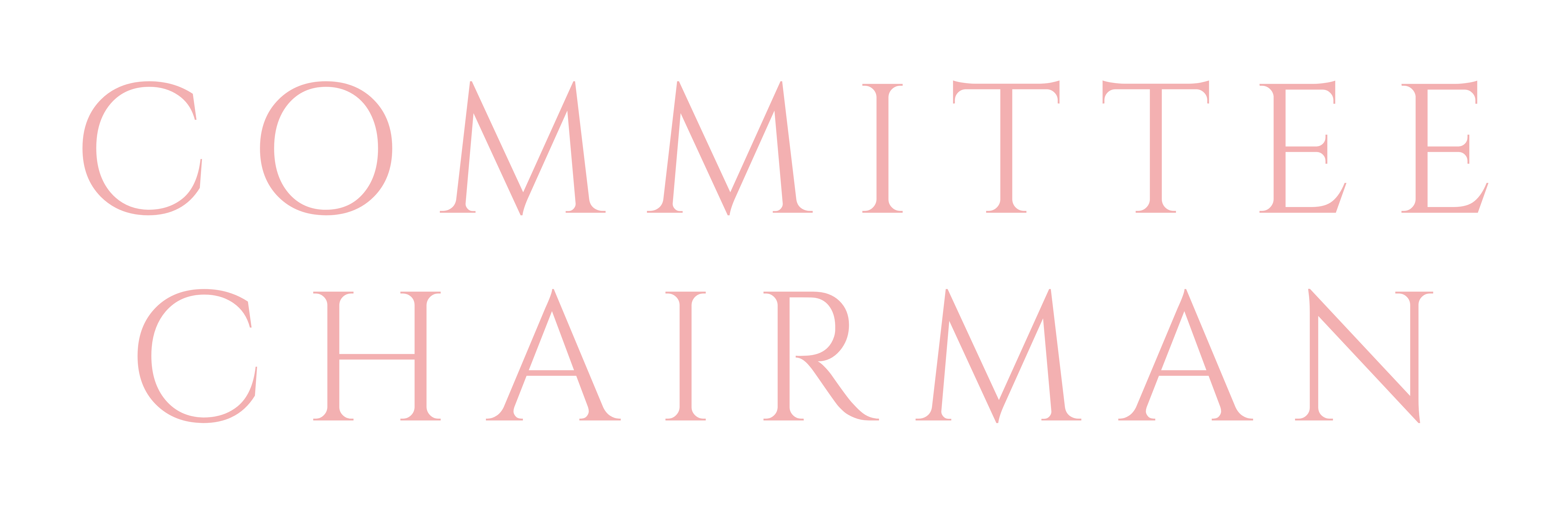 ABIO_Banners_Website_Committee_Chairman.png
