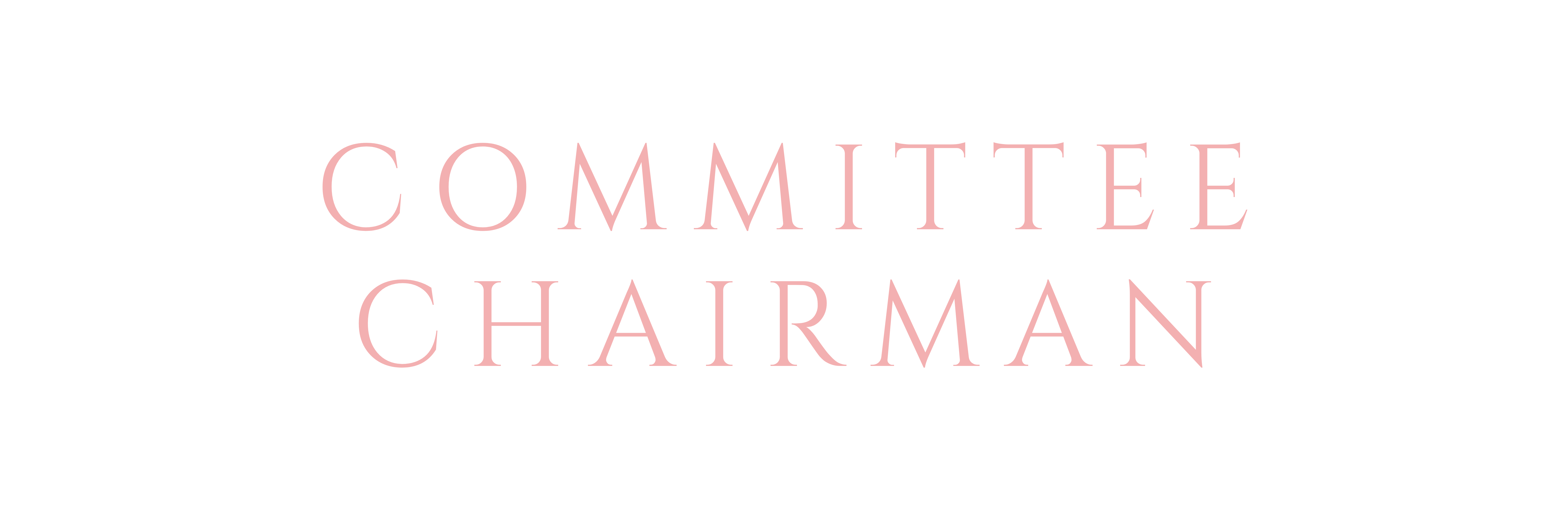 ABIO_Banners_Website_Committee_Chairman_2.png