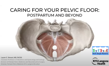 PelvicFloorWeb