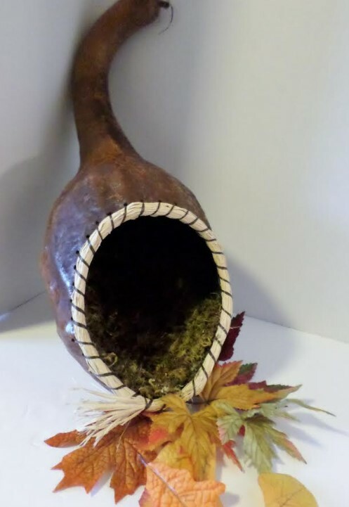 Cornucopia_Gourd.jpg
