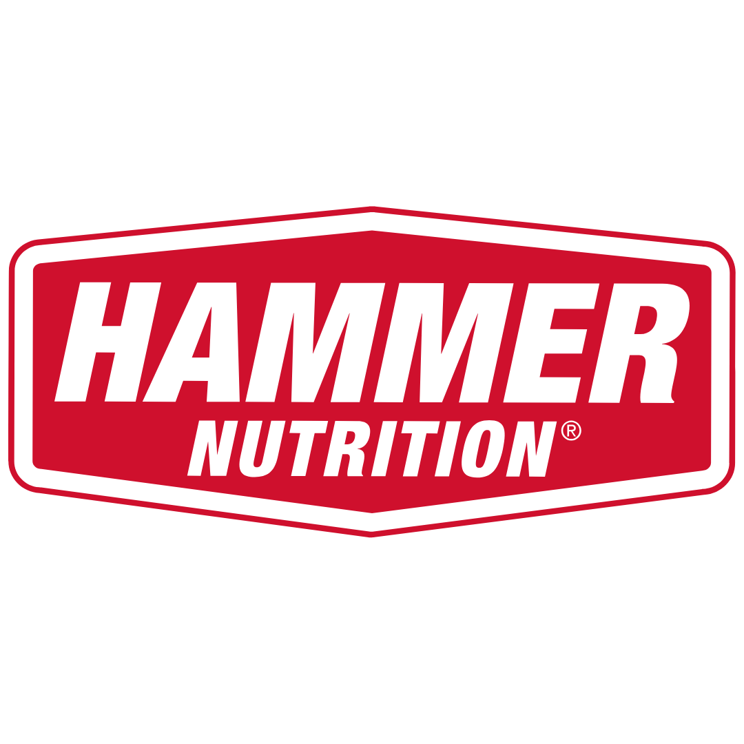 Hammer Logo Web