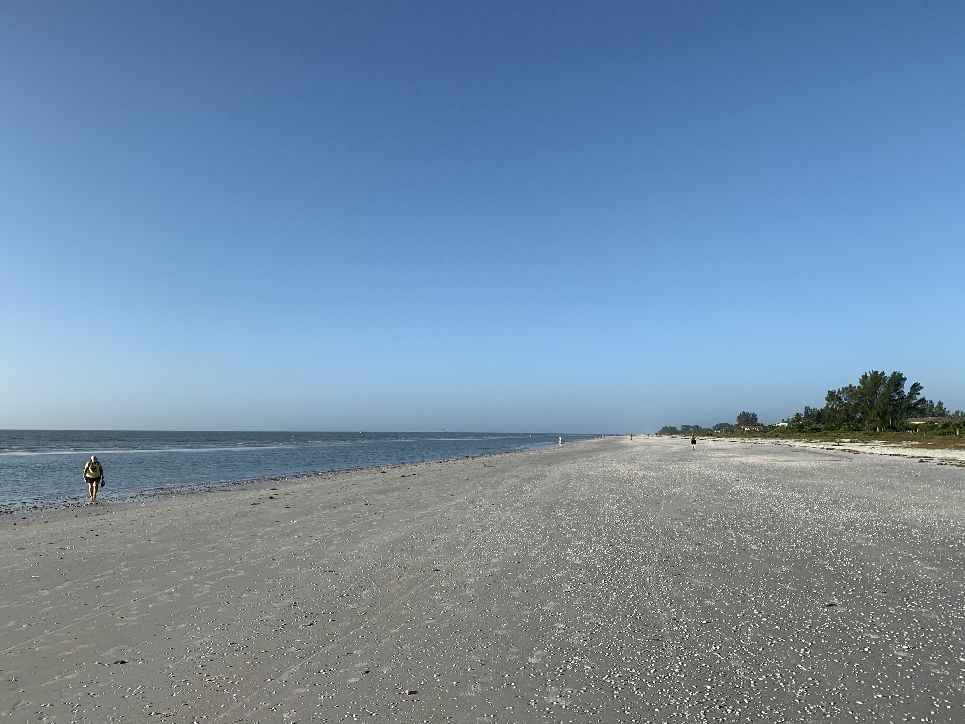 Beach Low Tide