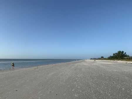 Beach Low Tide