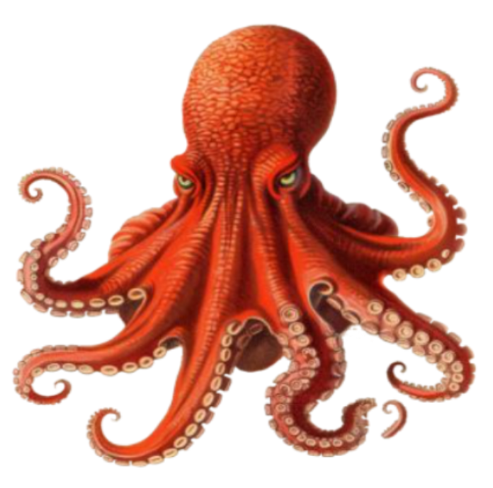 octupus.png