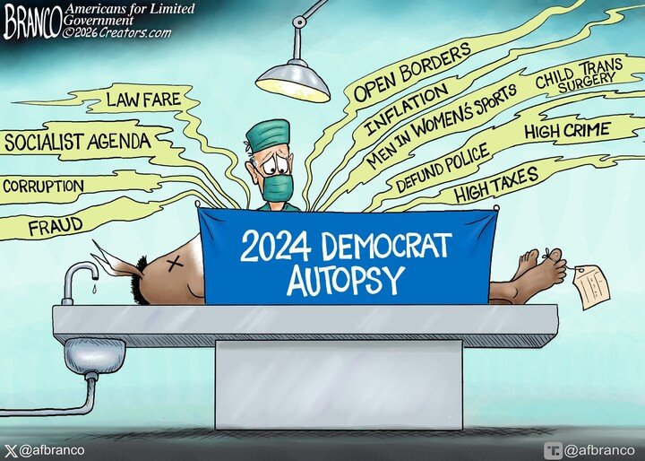 2024_Democrat_Autopsy.png