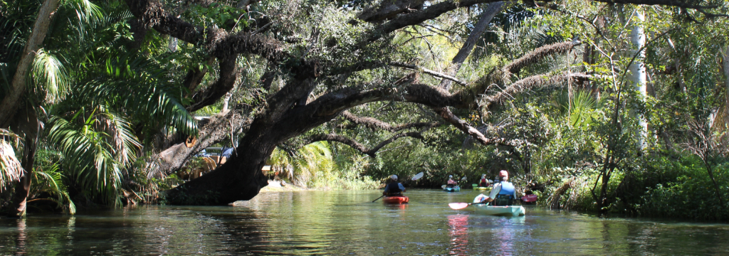 PPYC Members Kayaking the Estero River