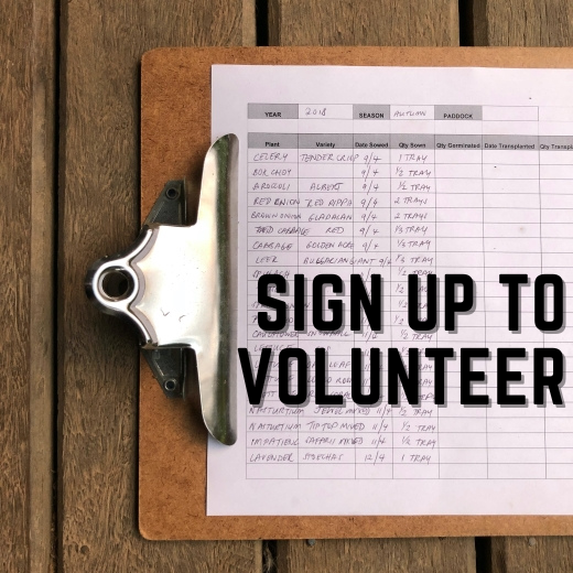 Sign up to Volunteer