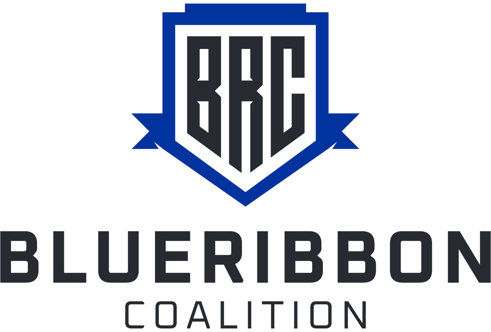 Blue Ribbon Coalition