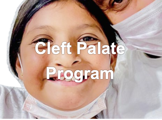Cleft Palate Square 2