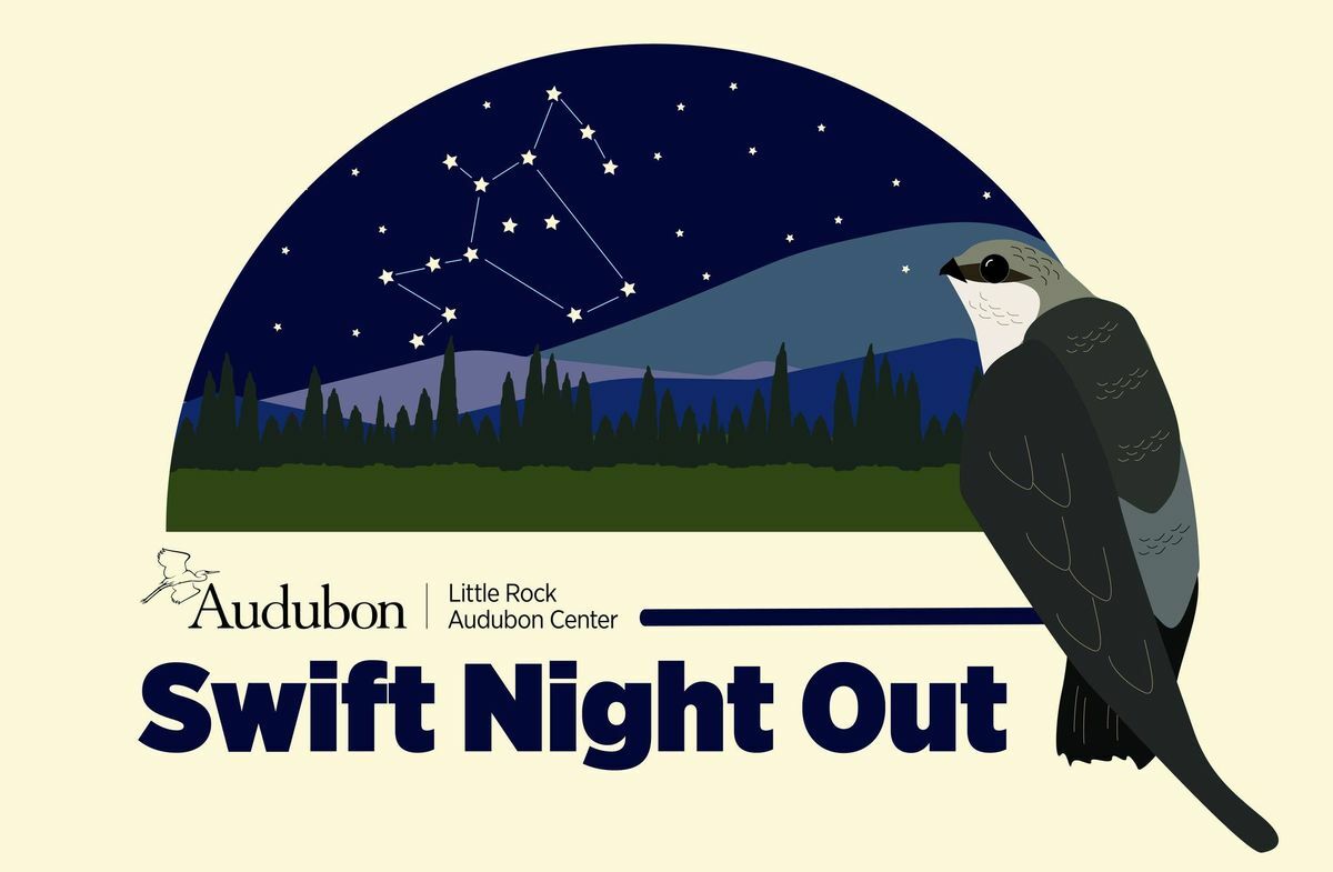 A Swift Night Out