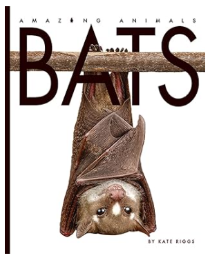 AmazingAnimals-Bats