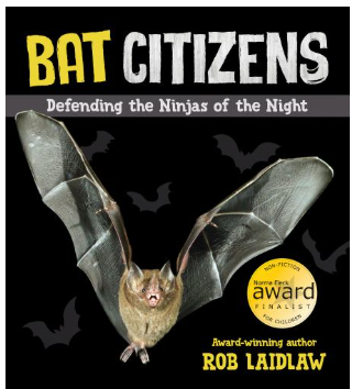 BatCitizensDefendingtheNinjasoftheNight