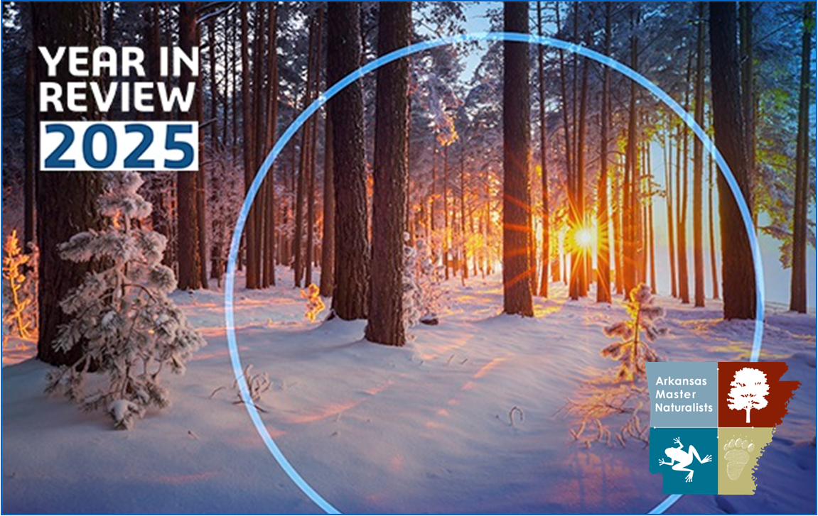 CAMN 2025 Year In Review