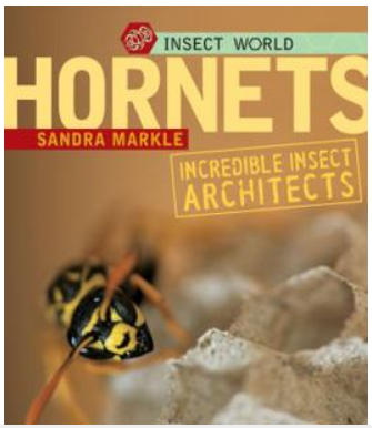 InsectWorldHornets