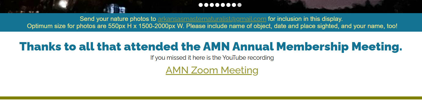 Annual Meeting Link