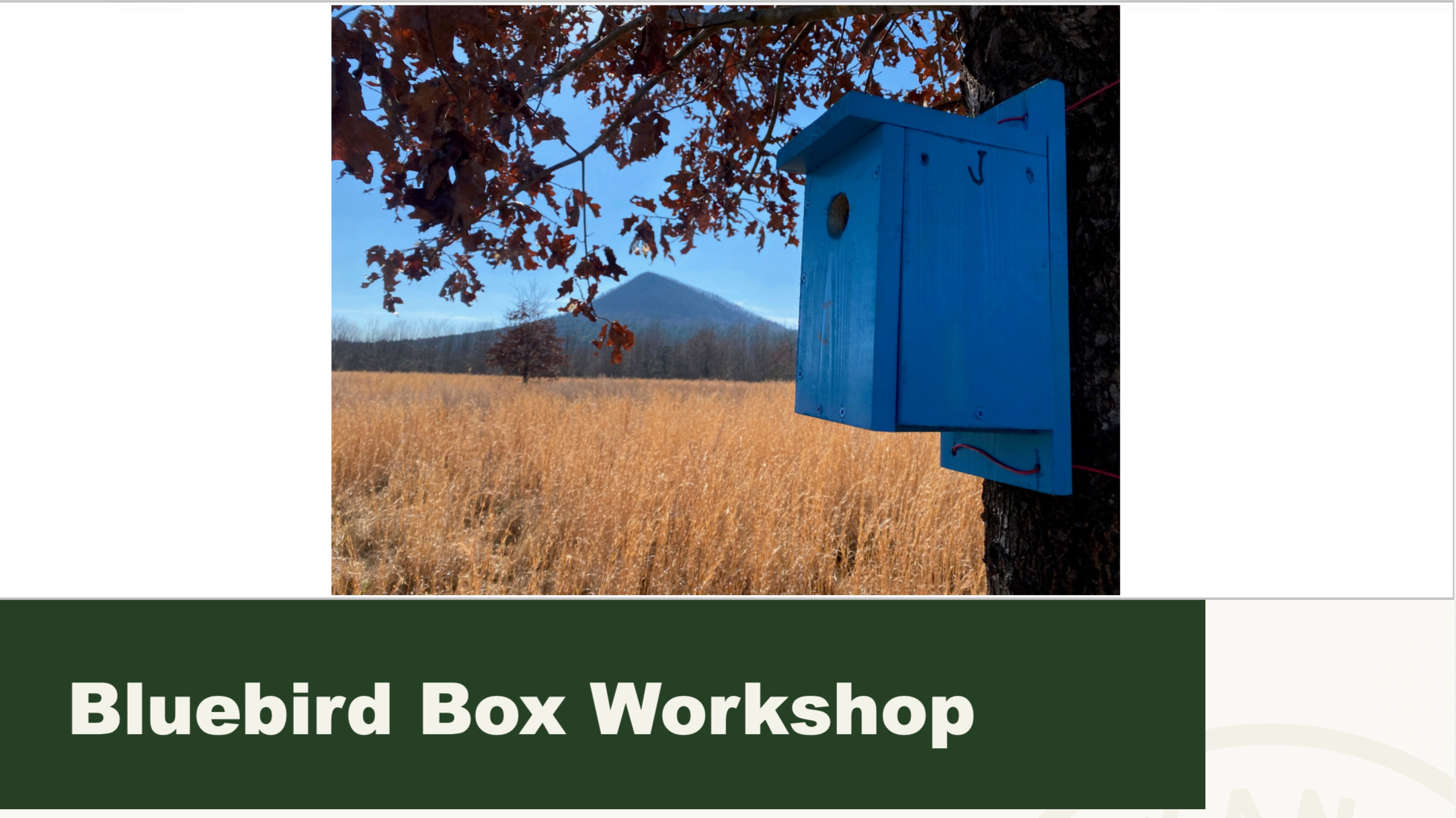 Bluebird box