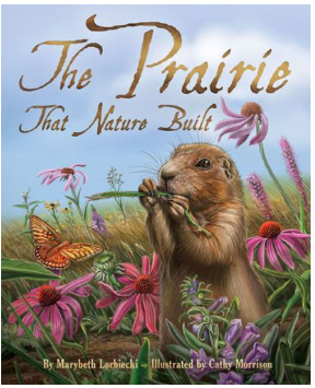 ThePrairieThatNatureBuilt