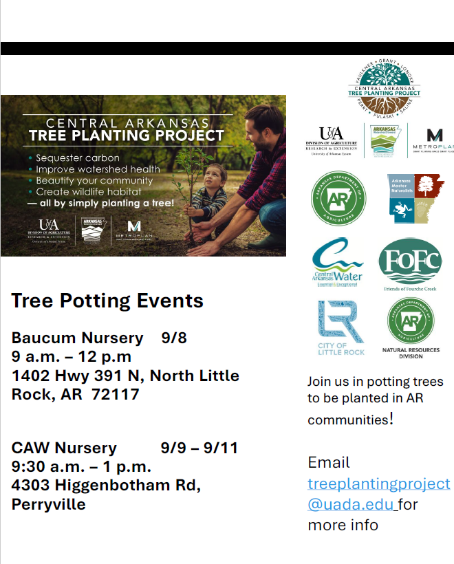 Tree Repotting 9-3