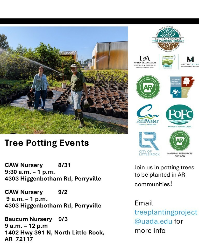 Tree Potting 8-28-26