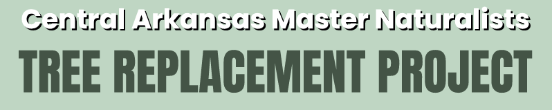 Tree Replacement Header