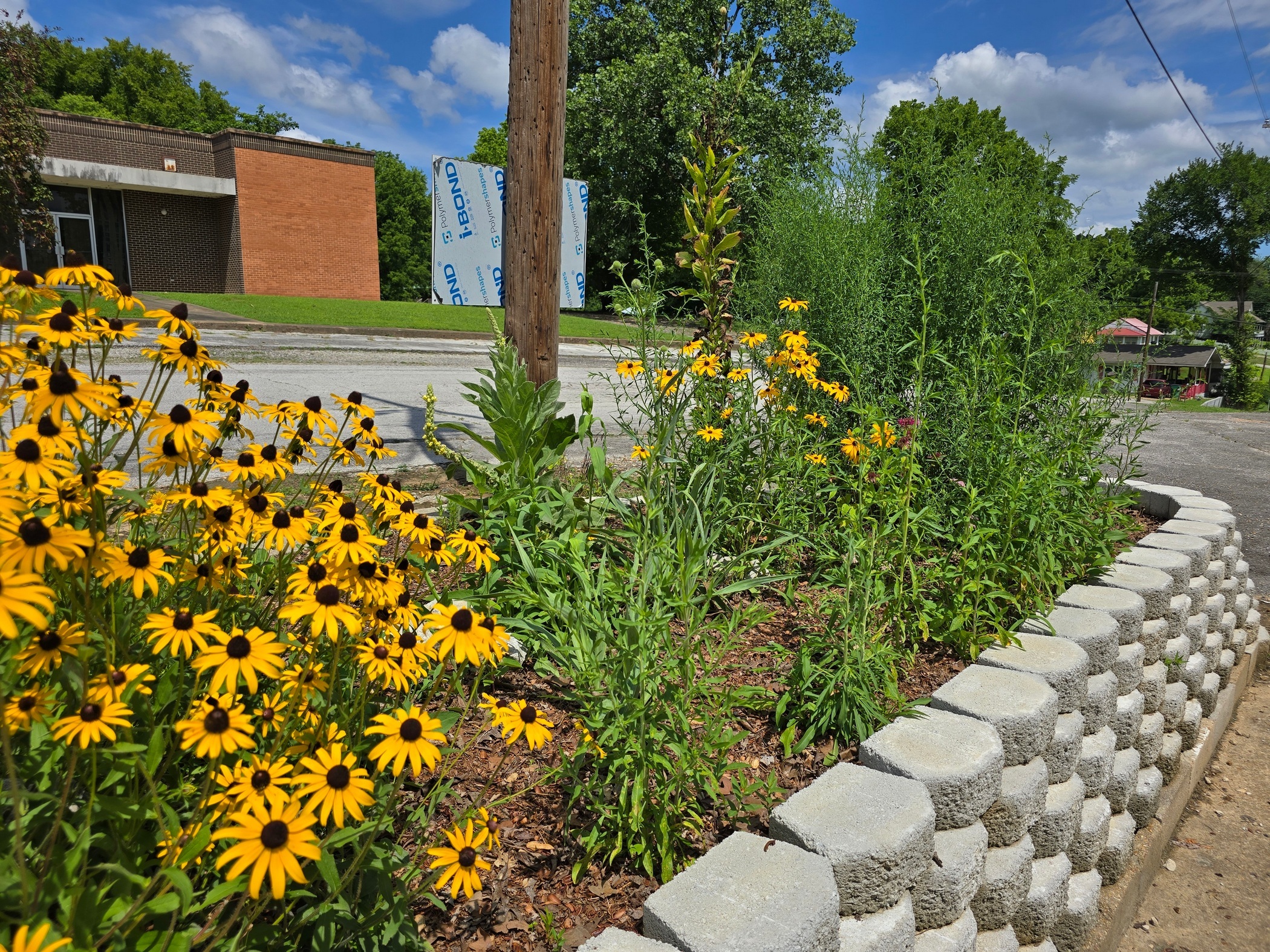 crpollinator_gardenbloom_tmpg.jpg
