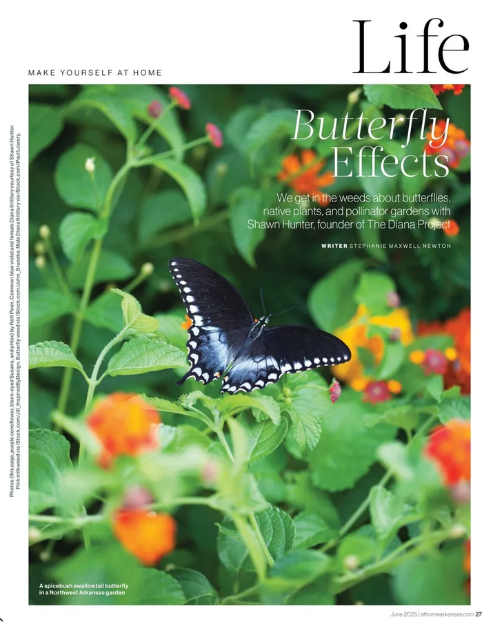 Page 1 of Butterfly Effect article
