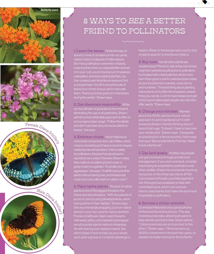 Page 3 of Butterfly Effect article