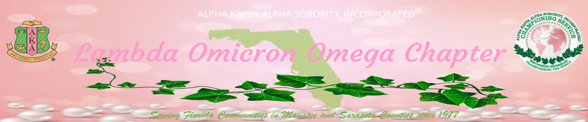New_Chapter_Banner_website_1920_400_2094690830.png