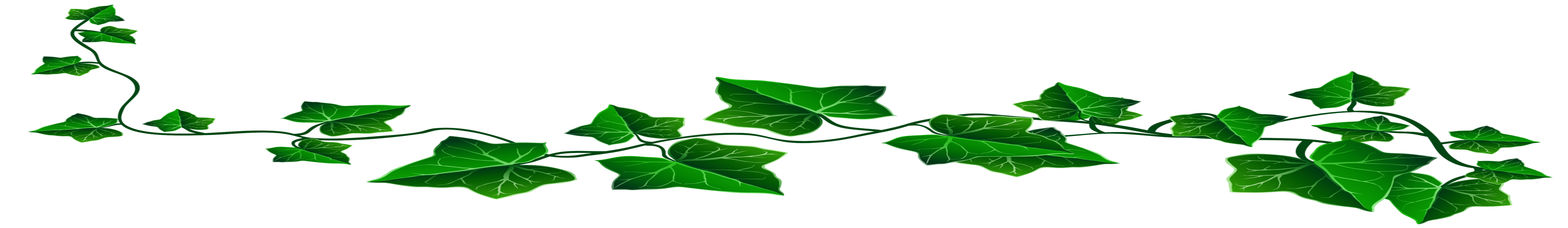 ivy_large.png