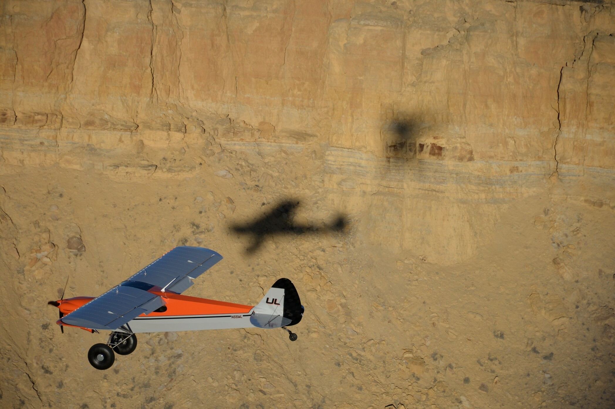 Cub in the Rio Puerco Valley