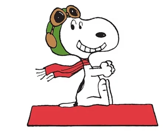 Snoopy Pilot: Stick n Rudder