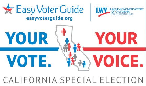 Easy Voter Guide