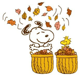 September Newsletter