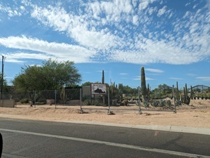 Black Mountain Nursery