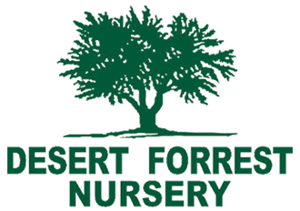 Desert Forest Nursery