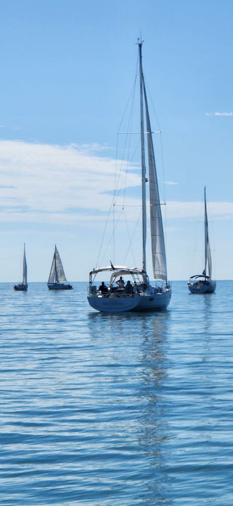 Presidents Regatta
