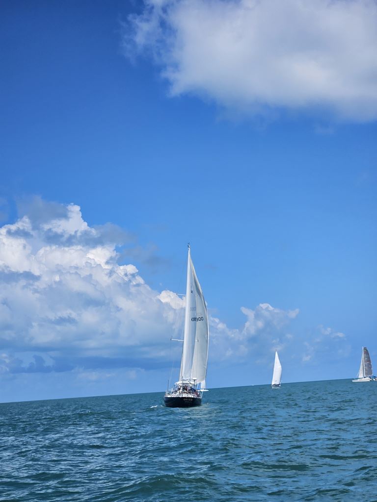 Club boats sailing on the Gulf
