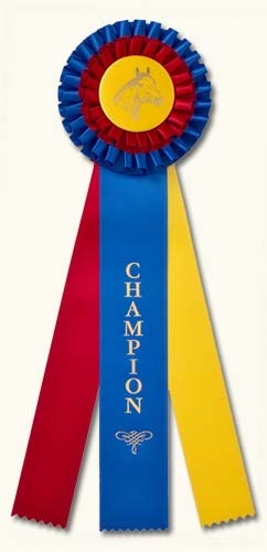 Champion_Ribbon.jpg