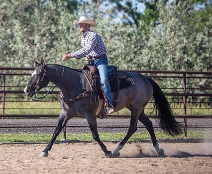 Ranch_Riding.jpg