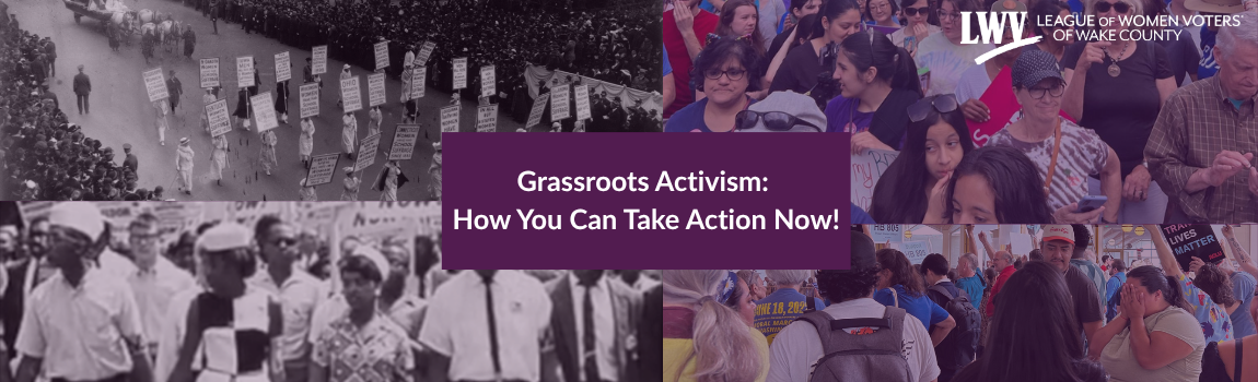 Activism_page_banner.png