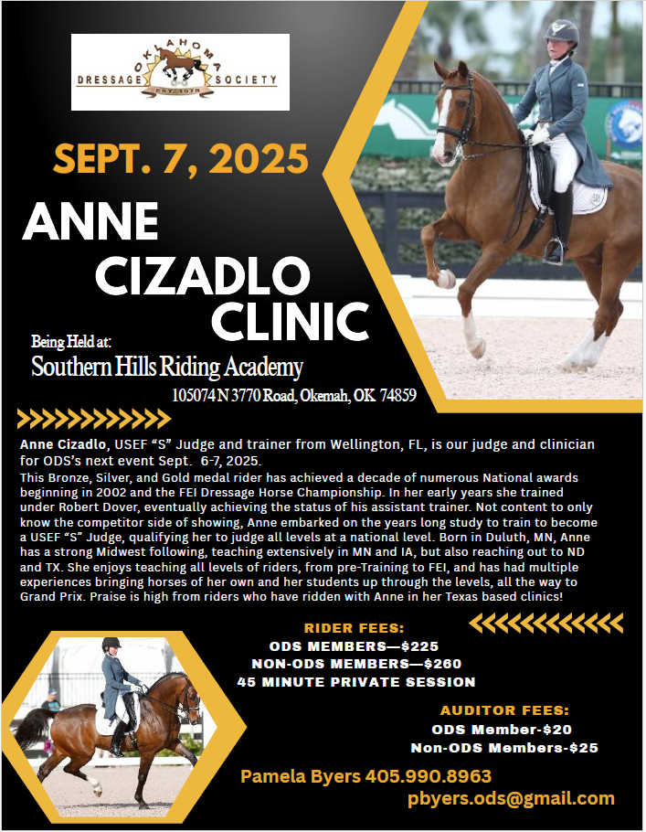 Cizadlo_Clinic_Flyer.png